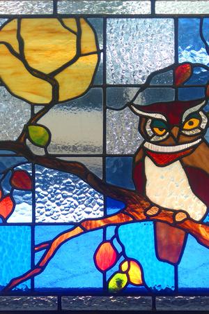 Owl, Marrickville